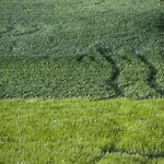 Turístico La Fábrica