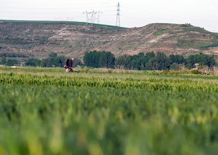 Auberge de jeunesse Turistico 