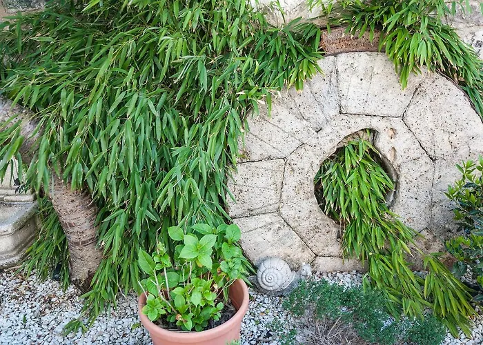 Auberge de jeunesse Turistico 